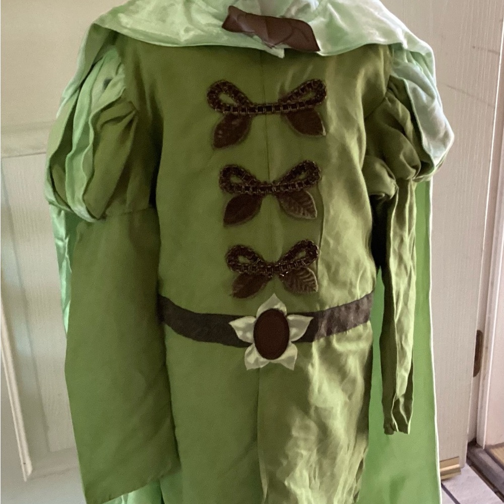 Disney Green and Brown Prince Naveen Costume